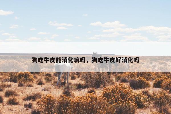 狗吃牛皮能消化嘛吗，狗吃牛皮好消化吗