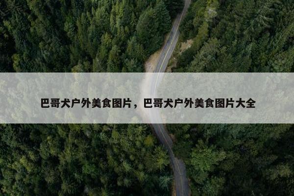 巴哥犬户外美食图片，巴哥犬户外美食图片大全