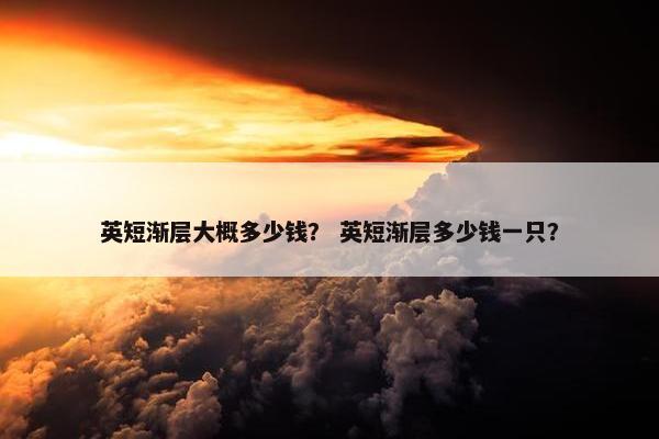 英短渐层大概多少钱？ 英短渐层多少钱一只？
