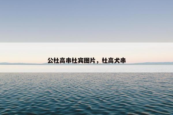 公杜高串杜宾图片，杜高犬串