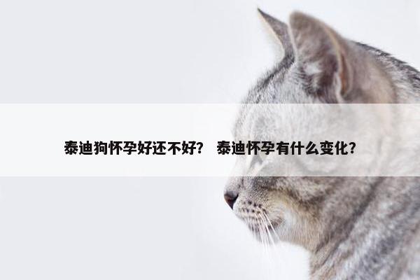 泰迪狗怀孕好还不好？ 泰迪怀孕有什么变化？