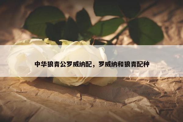 中华狼青公罗威纳配，罗威纳和狼青配种