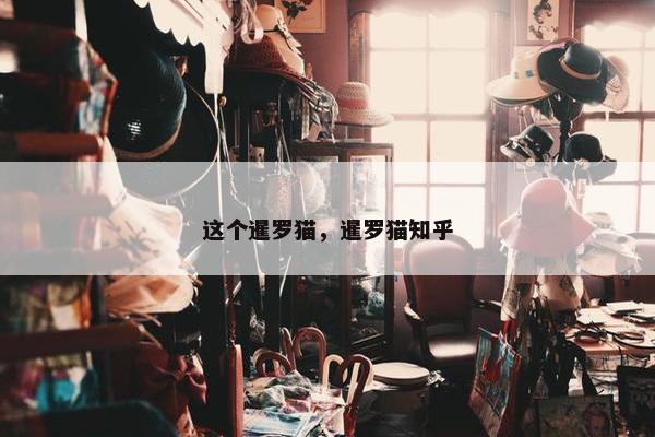 这个暹罗猫，暹罗猫知乎