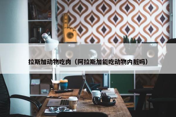 拉斯加动物吃肉（阿拉斯加能吃动物内脏吗）