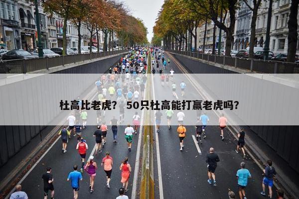 杜高比老虎？ 50只杜高能打赢老虎吗？