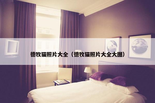 德牧猫照片大全（德牧猫照片大全大图）