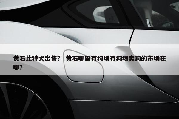 黄石比特犬出售？ 黄石哪里有狗场有狗场卖狗的市场在哪？