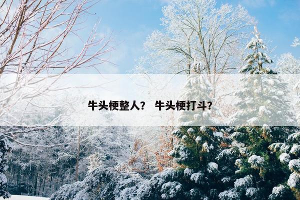 牛头梗整人？ 牛头梗打斗？