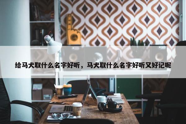 给马犬取什么名字好听，马犬取什么名字好听又好记呢