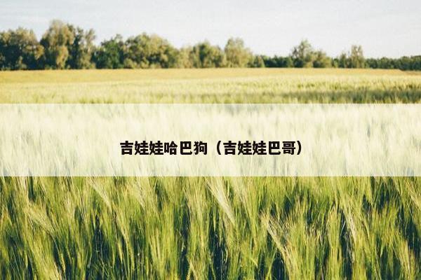 吉娃娃哈巴狗（吉娃娃巴哥）
