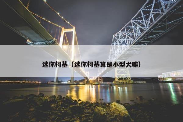 迷你柯基（迷你柯基算是小型犬嘛）