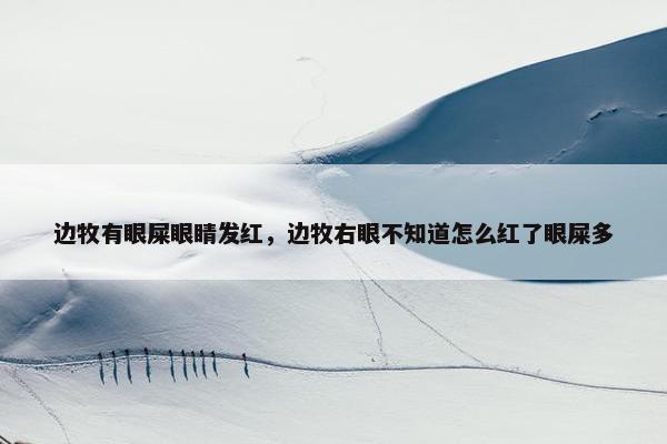 边牧有眼屎眼睛发红，边牧右眼不知道怎么红了眼屎多