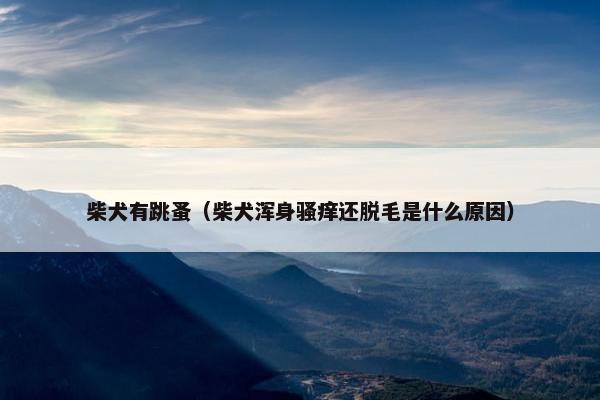 柴犬有跳蚤（柴犬浑身骚痒还脱毛是什么原因）