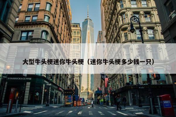 大型牛头梗迷你牛头梗（迷你牛头梗多少钱一只）