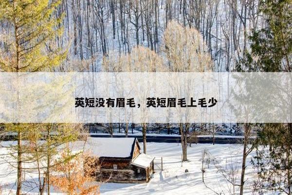 英短没有眉毛，英短眉毛上毛少