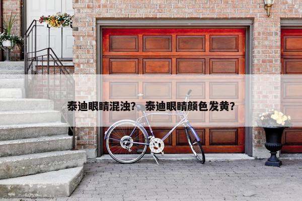 泰迪眼睛混浊？ 泰迪眼睛颜色发黄？