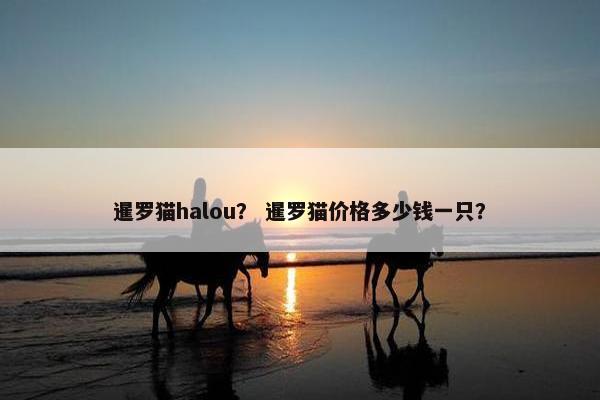 暹罗猫halou？ 暹罗猫价格多少钱一只？