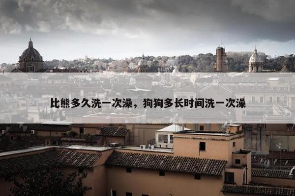 比熊多久洗一次澡，狗狗多长时间洗一次澡