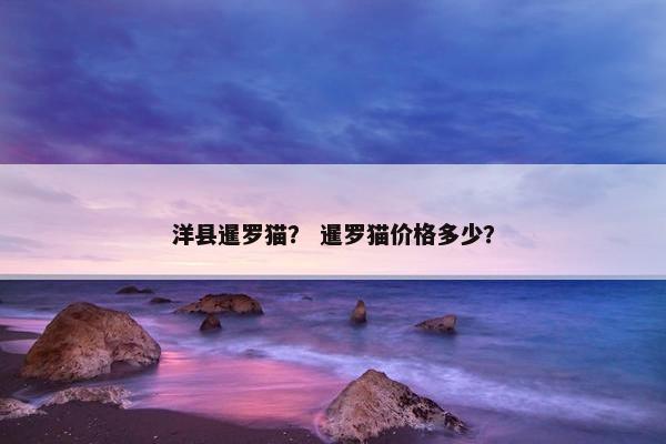 洋县暹罗猫？ 暹罗猫价格多少？