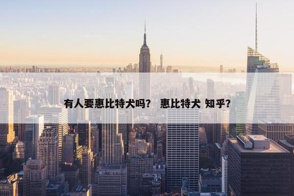 有人要惠比特犬吗？ 惠比特犬 知乎？