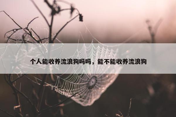个人能收养流浪狗吗吗，能不能收养流浪狗