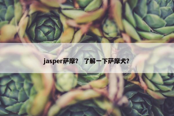 jasper萨摩？ 了解一下萨摩犬？
