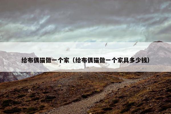 给布偶猫做一个家（给布偶猫做一个家具多少钱）