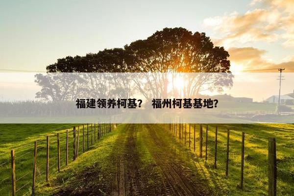 福建领养柯基？ 福州柯基基地？