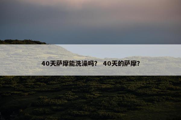 40天萨摩能洗澡吗？ 40天的萨摩？