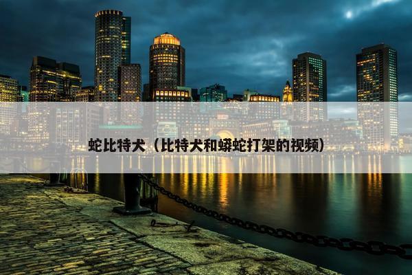 蛇比特犬（比特犬和蟒蛇打架的视频）