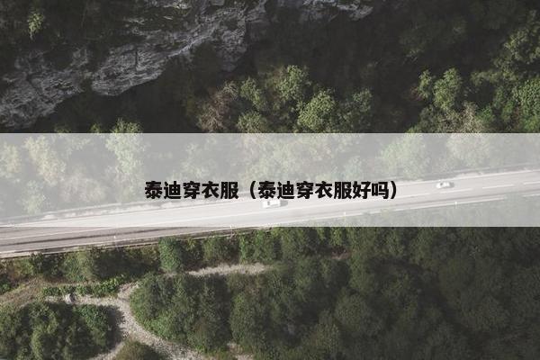 泰迪穿衣服（泰迪穿衣服好吗）