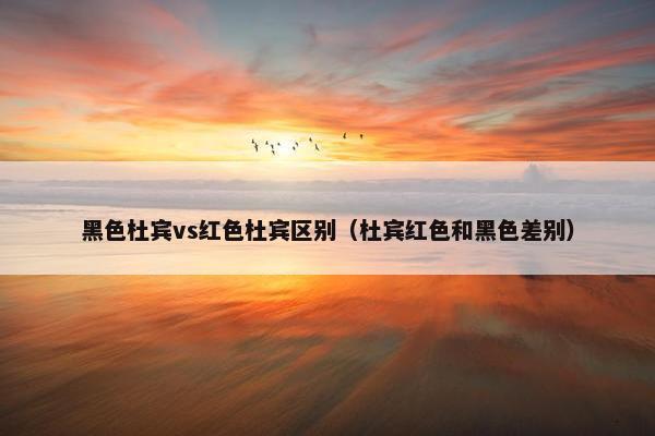 黑色杜宾vs红色杜宾区别（杜宾红色和黑色差别）