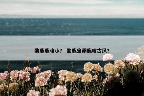 勋鹿鹿晗小？ 勋鹿宠溺鹿晗古风？