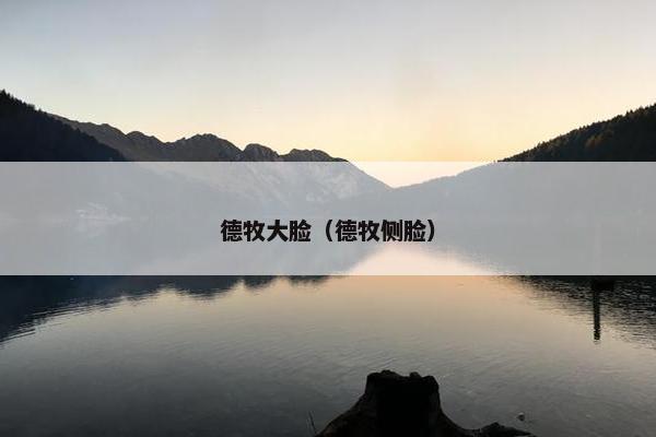 德牧大脸（德牧侧脸）