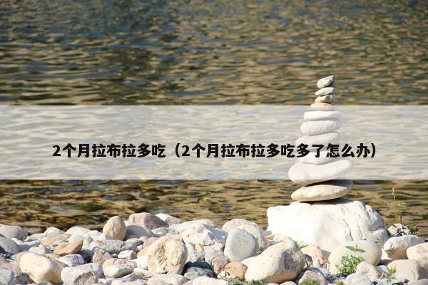 2个月拉布拉多吃（2个月拉布拉多吃多了怎么办）