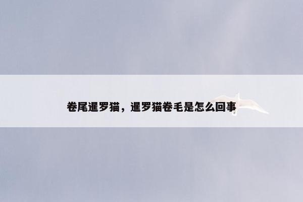 卷尾暹罗猫，暹罗猫卷毛是怎么回事