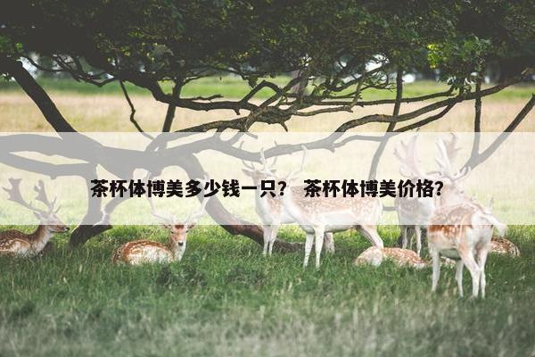 茶杯体博美多少钱一只？ 茶杯体博美价格？