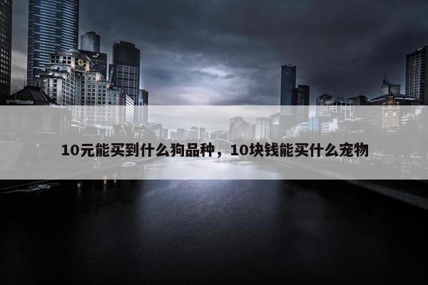 10元能买到什么狗品种，10块钱能买什么宠物