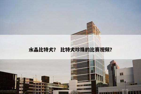水晶比特犬？ 比特犬珍珠的比赛视频？