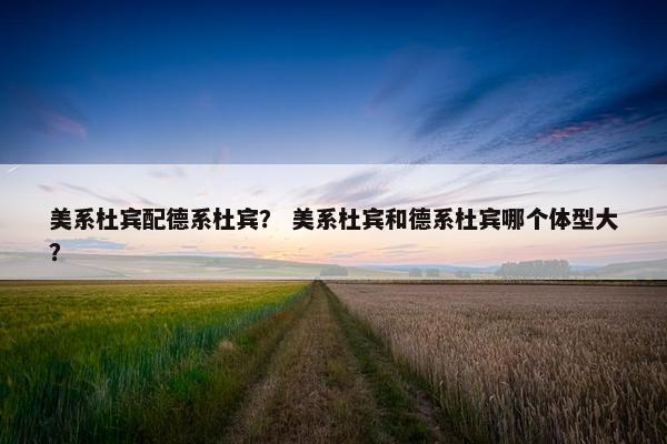 美系杜宾配德系杜宾？ 美系杜宾和德系杜宾哪个体型大？