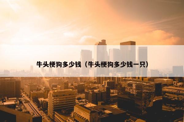 牛头梗狗多少钱（牛头梗狗多少钱一只）