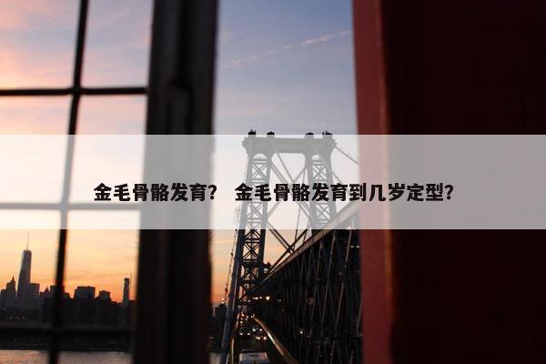 金毛骨骼发育？ 金毛骨骼发育到几岁定型？