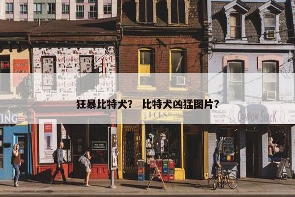 狂暴比特犬？ 比特犬凶猛图片？