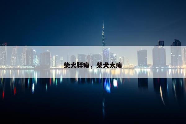 柴犬胖瘦，柴犬太瘦