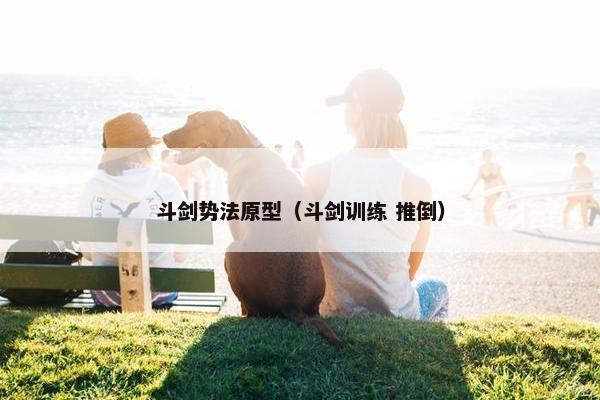 斗剑势法原型（斗剑训练 推倒）
