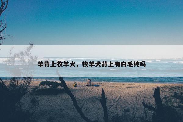 羊背上牧羊犬，牧羊犬背上有白毛纯吗