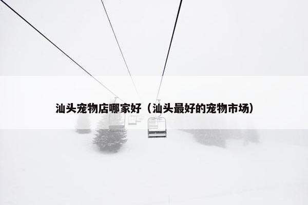 汕头宠物店哪家好（汕头最好的宠物市场）