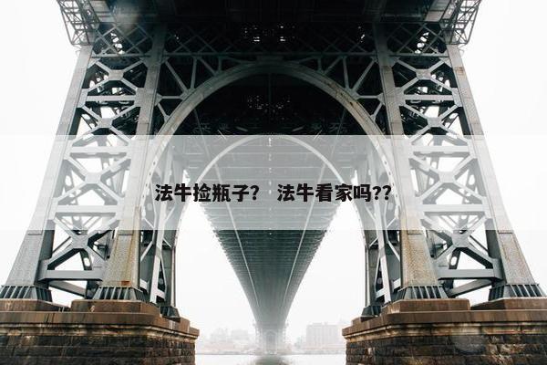 法牛捡瓶子？ 法牛看家吗?？