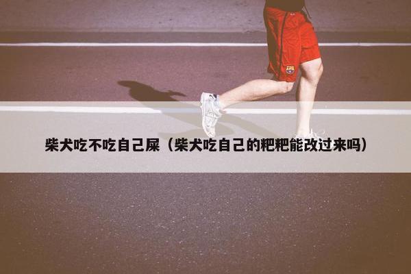 柴犬吃不吃自己屎（柴犬吃自己的粑粑能改过来吗）