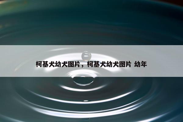 柯基犬幼犬图片，柯基犬幼犬图片 幼年